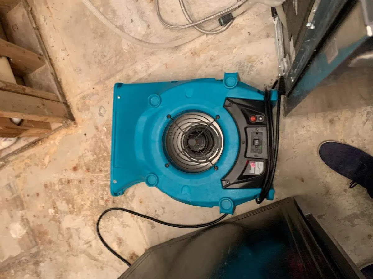 Air mover drying equipment for Mold Remediation & Removal in Homosassa Springs